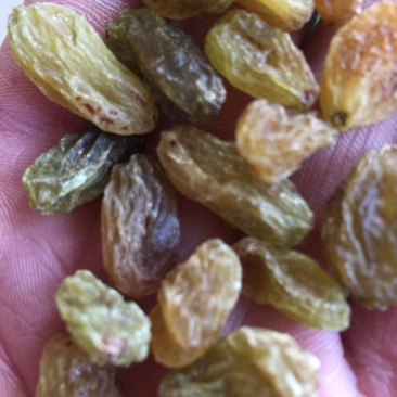 新疆吐鲁番大颗粒葡萄干全国包邮发货