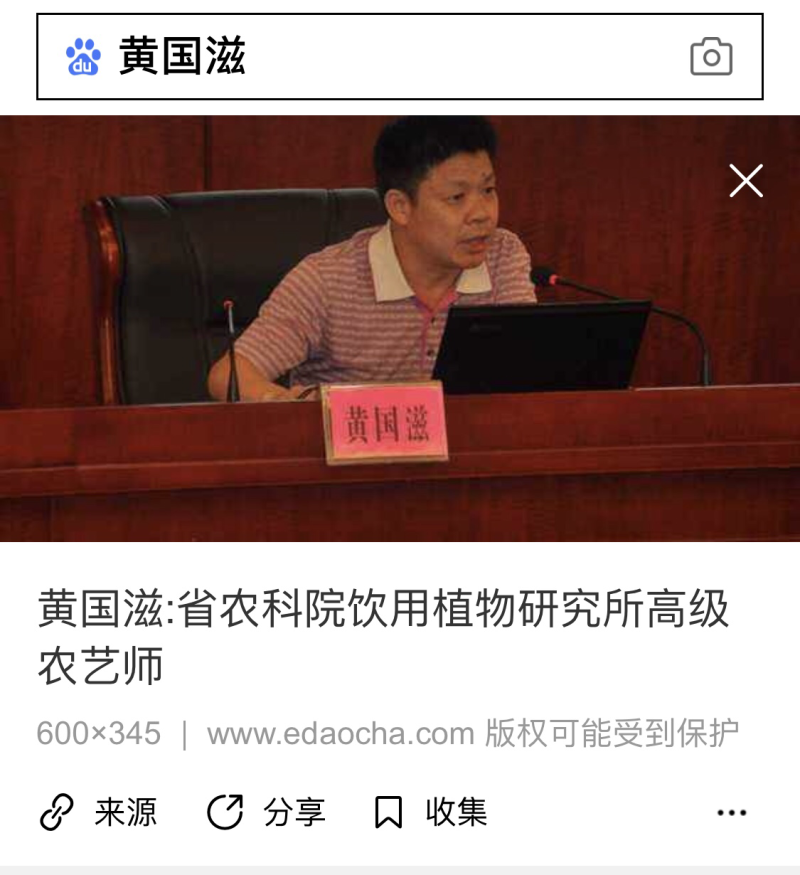 英红九号
