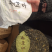 冰岛