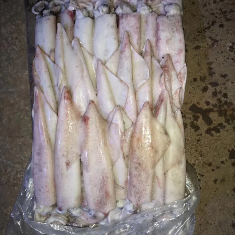 鱿鱼批发，深海鱿鱼，冻品鱿鱼，船冻鱿鱼，急冻鱿鱼