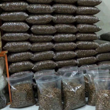 蒲公英大根小根