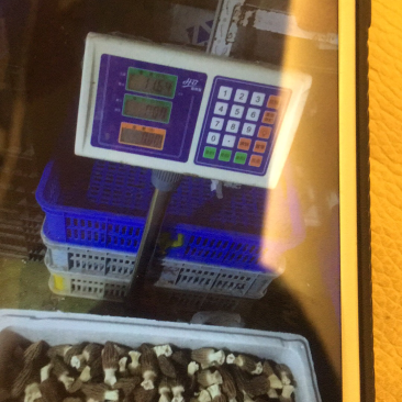 鲜羊肚特价供应