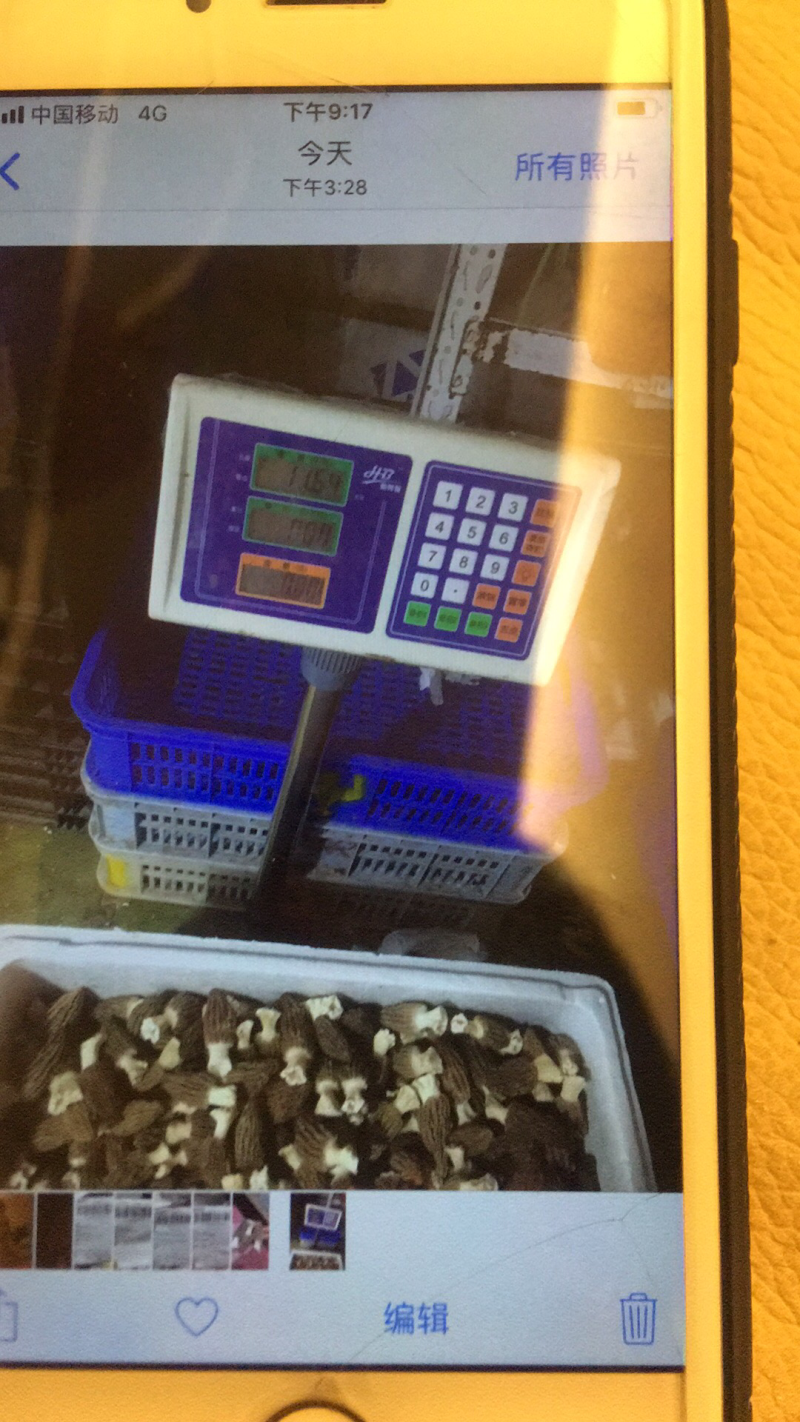 鲜羊肚特价供应