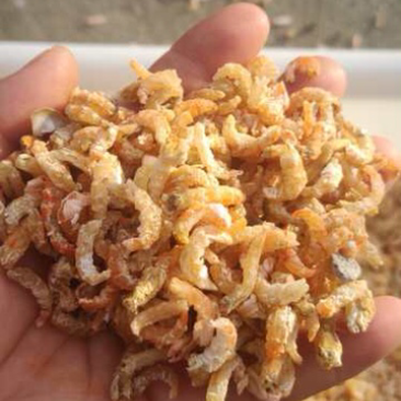 海米
