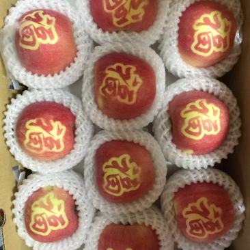 苹果礼盒，净重5斤，精品彩盒苹果