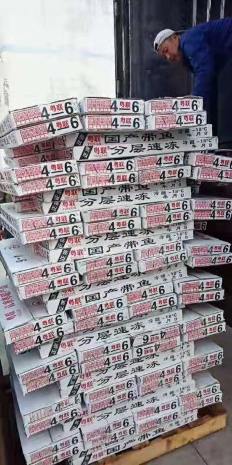 4一6刀鱼