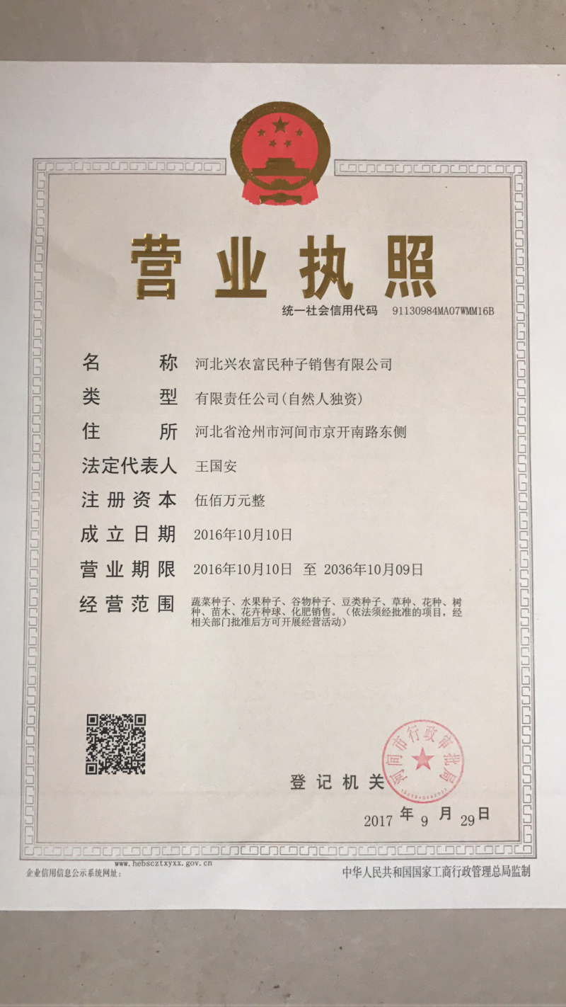 高产谷子种子小米种子抗病高产米质香糯珍珠香米谷子