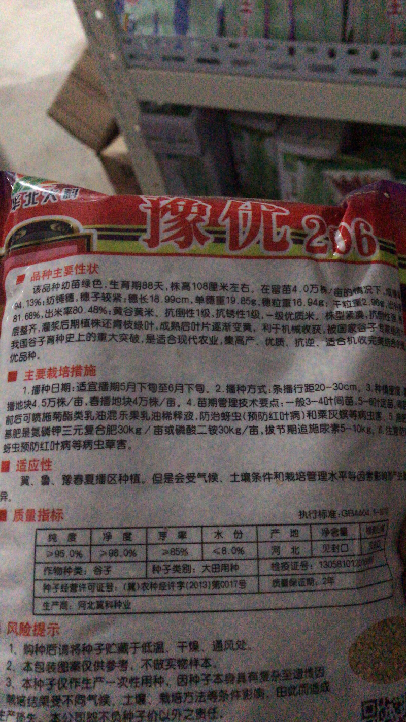 优质谷子种子抗病高产小米种子豫优206号