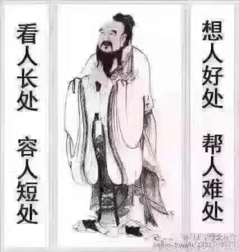 优质谷子种子抗病高产小米种子豫优206号