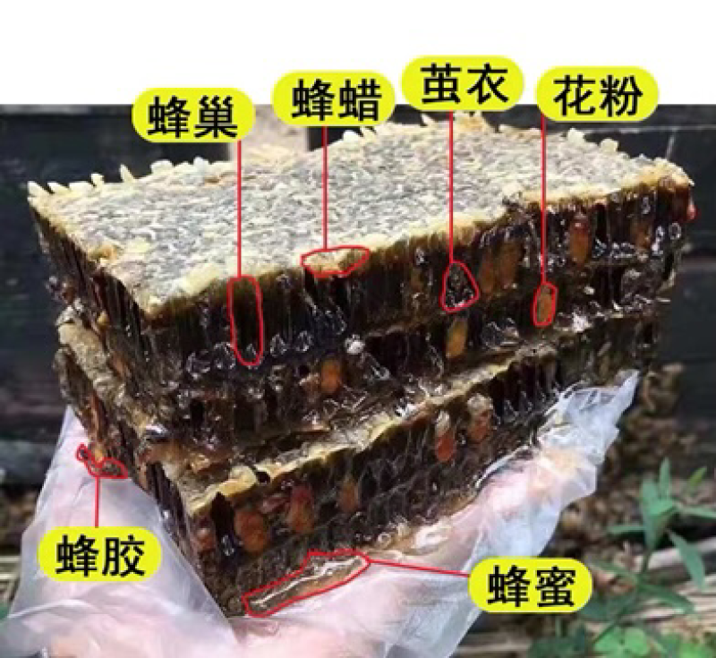 老蜂巢蜜纯正天然野生封盖老巢蜂窝蜜土蜂巢蜜老巢蜜50