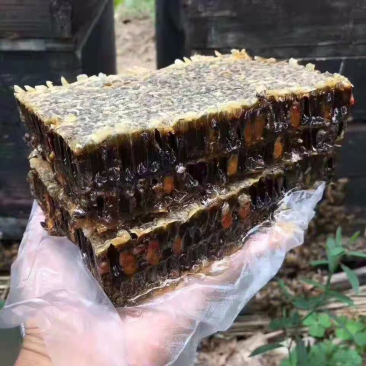 老蜂巢蜜纯正天然野生封盖老巢蜂窝蜜土蜂巢蜜老巢蜜50