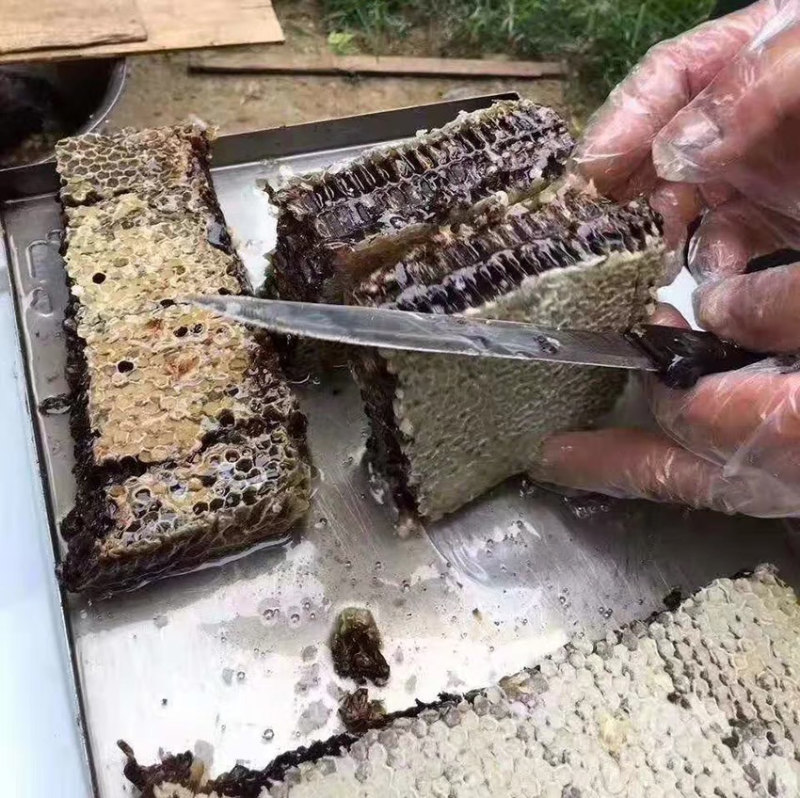 老蜂巢蜜纯正天然野生封盖老巢蜂窝蜜土蜂巢蜜老巢蜜50