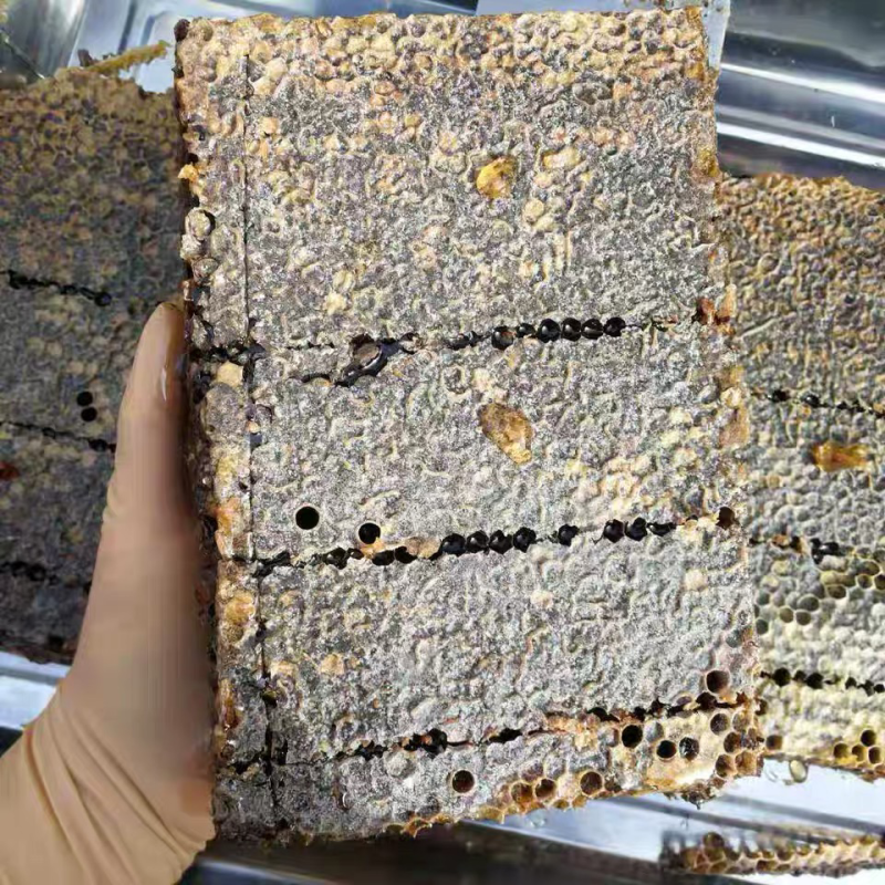 老蜂巢蜜纯正天然野生封盖老巢蜂窝蜜土蜂巢蜜老巢蜜50