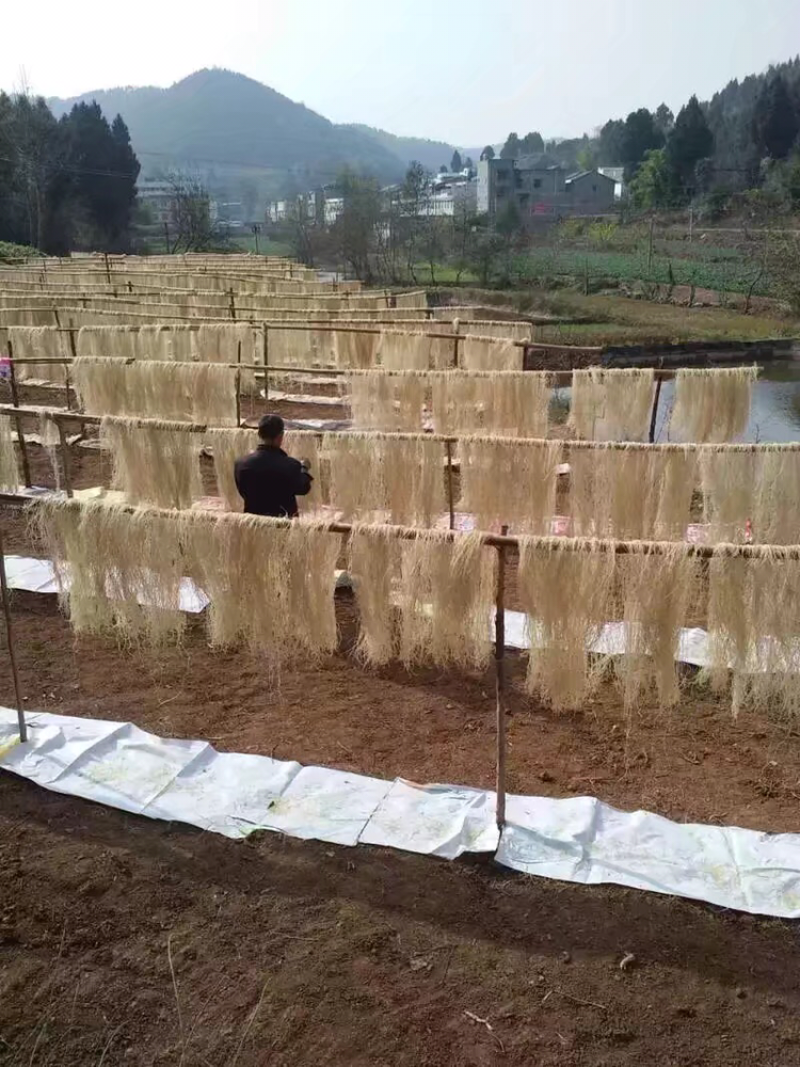 手工红薯粉条农家自制