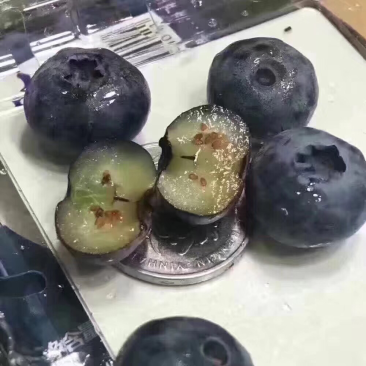 云南本地蓝莓