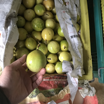 黄金百香果