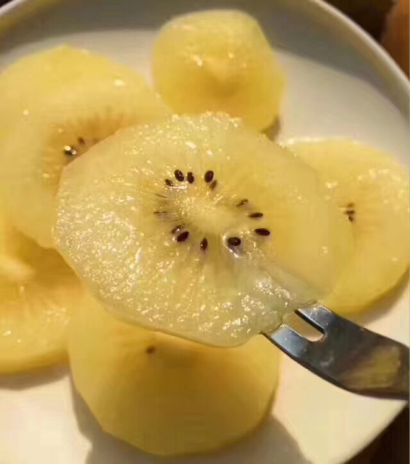 新西兰🇳🇿佳沛奇异果