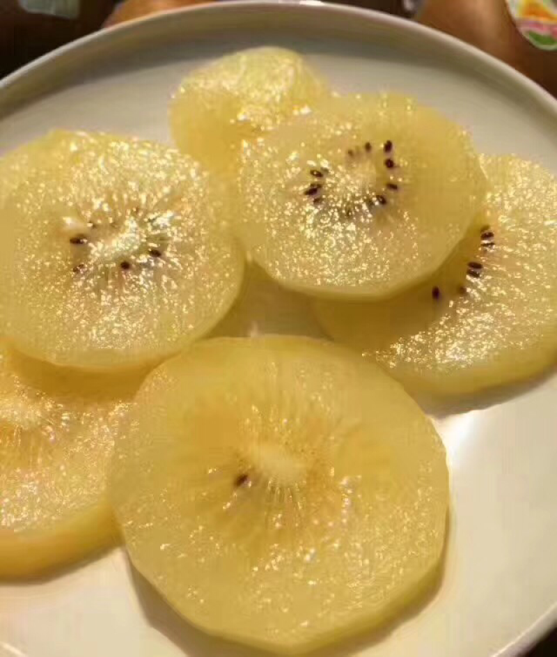 新西兰🇳🇿佳沛奇异果
