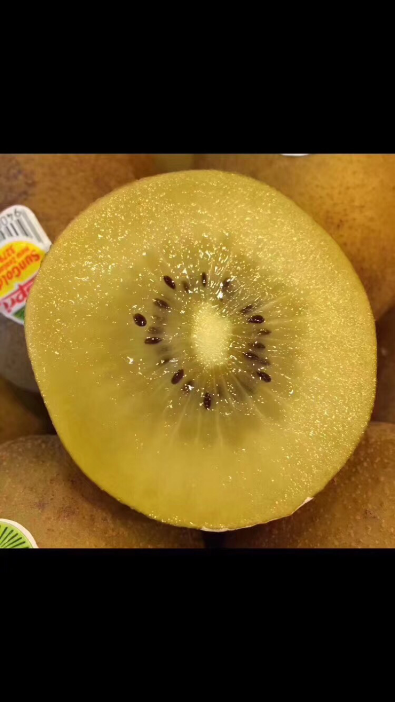 新西兰🇳🇿佳沛奇异果