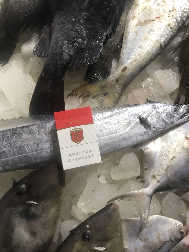 渤海湾大刀鱼