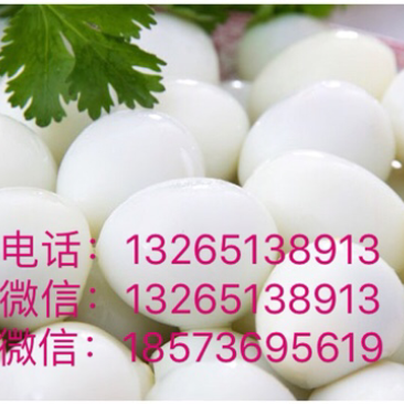 供应新鲜鹌鹑蛋，剥壳熟鹌鹑蛋