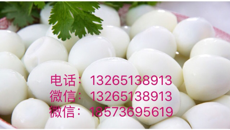 供应新鲜鹌鹑蛋，剥壳熟鹌鹑蛋