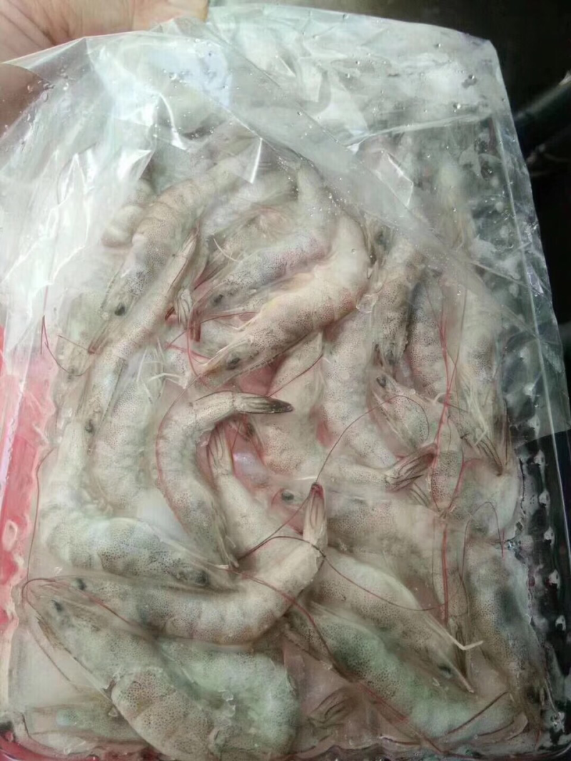 河虾