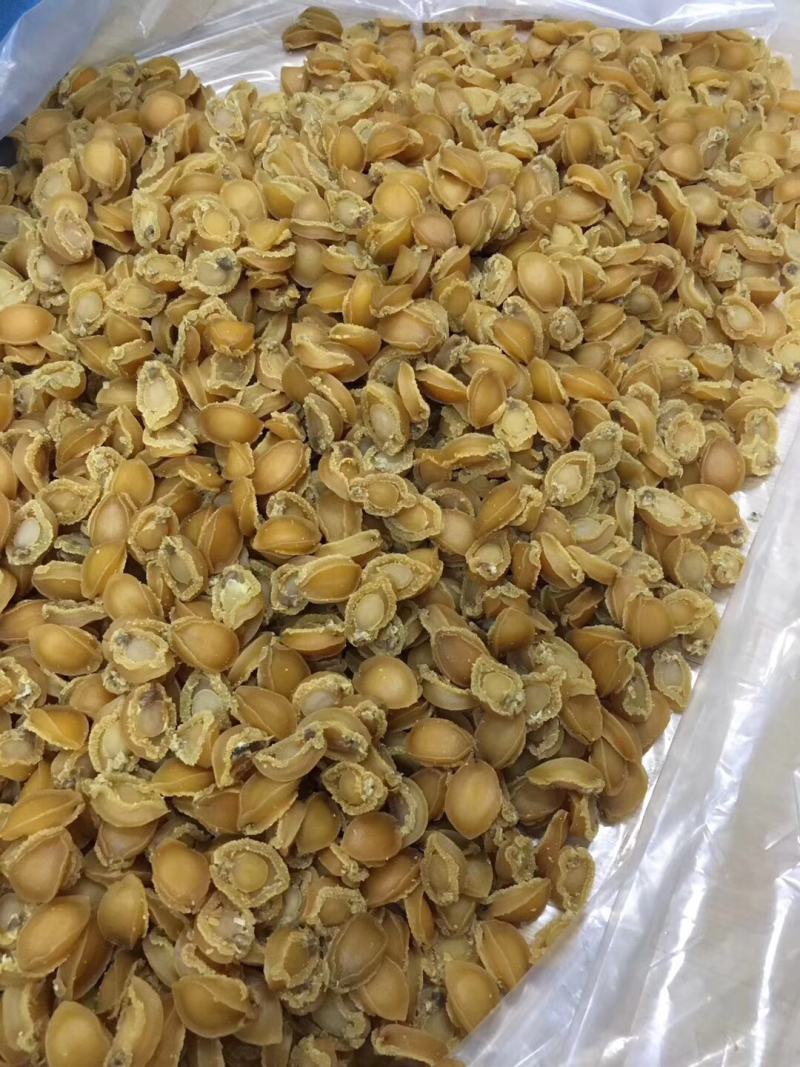 100头鲍鱼干