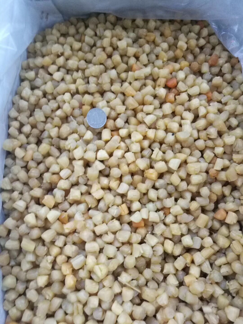 480规格干贝（瑶柱）