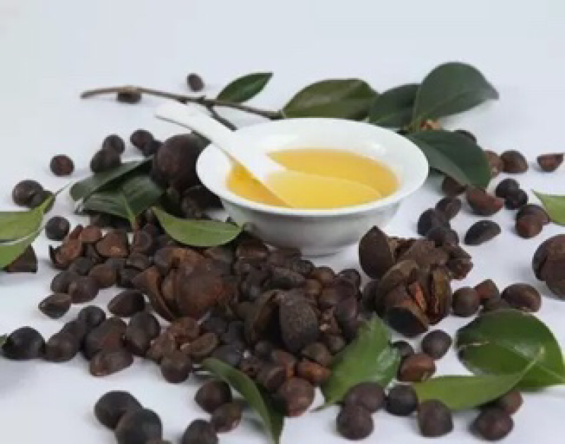 2019年压榨纯茶油
