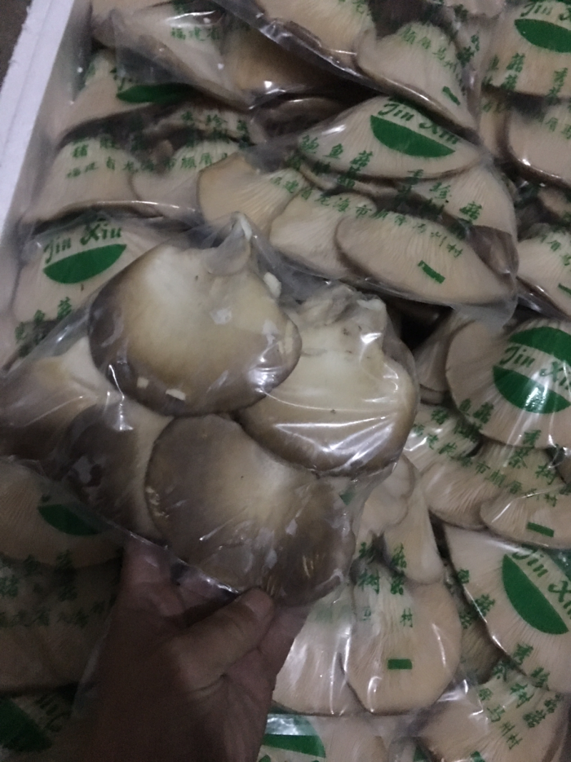 鲍鱼菇3cm以上