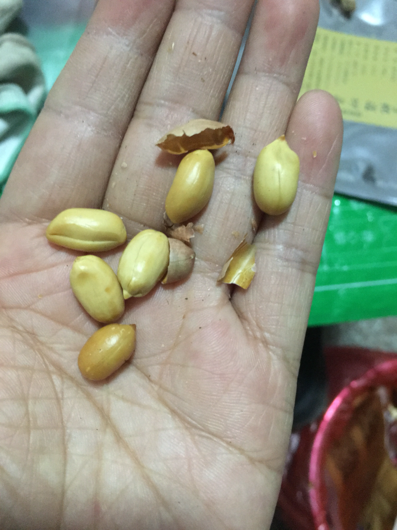 宁化湿炒花生。上新后发货