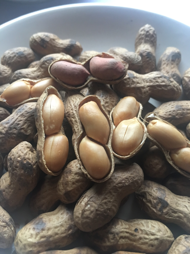 宁化湿炒花生。上新后发货