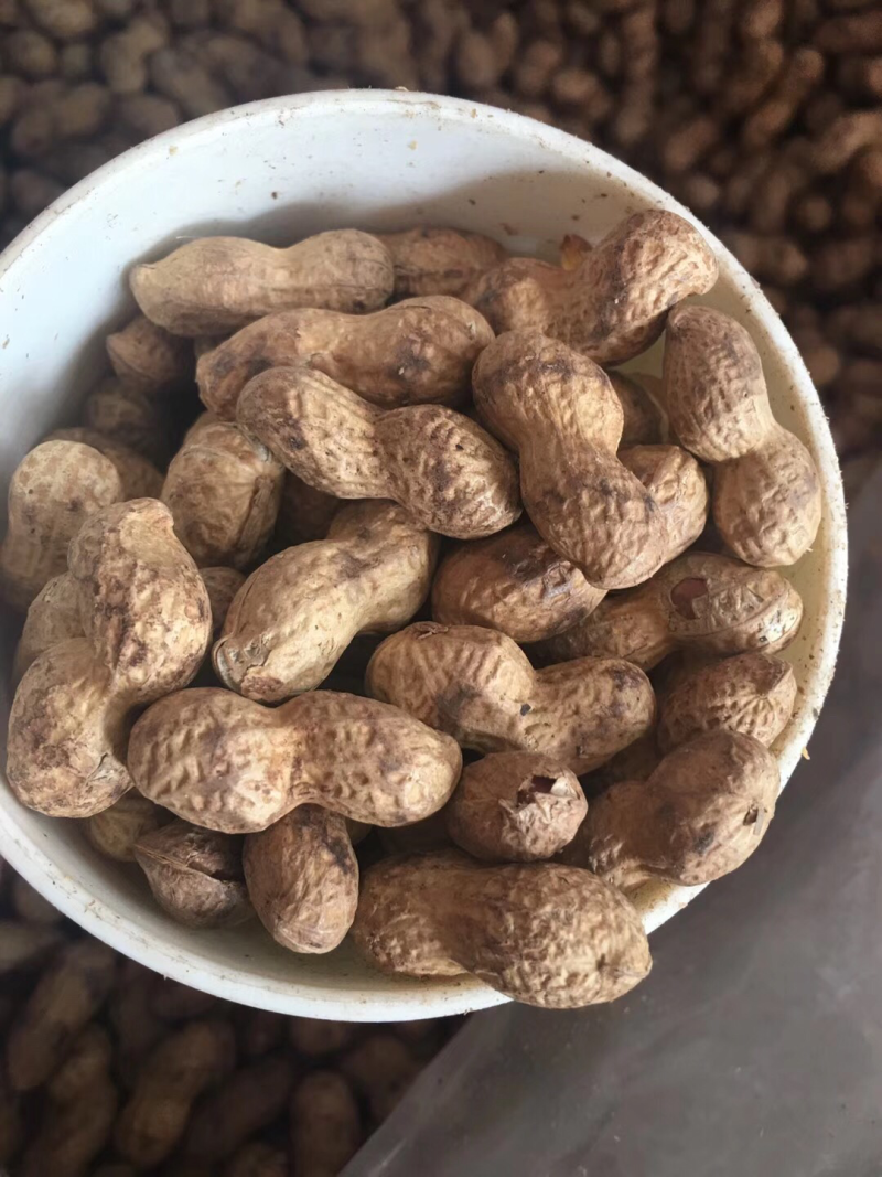 宁化湿炒花生。上新后发货