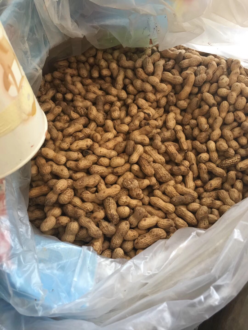 宁化湿炒花生。上新后发货