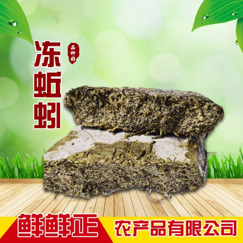 蚯蚓、湖北臭青蚯蚓、环毛蚓、冰冻蚯蚓、鲜活蚯蚓