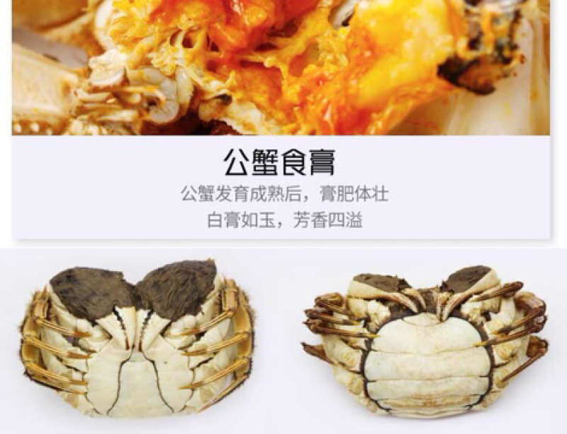 1|六月黄蟹宴|大闸蟹河蟹螃蟹鲜活全母现货
