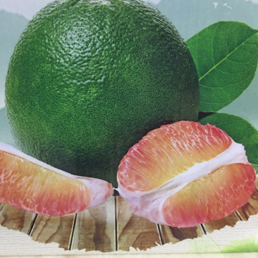 新品种泰国绿翡翠青皮西施柚苗