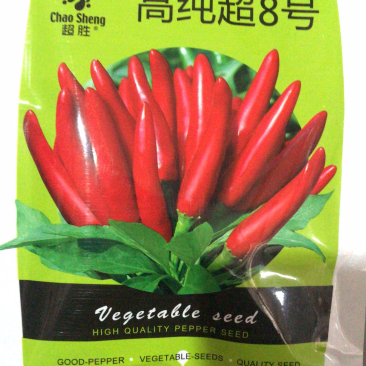 高纯八号辣椒种子朝天椒种子天鹰椒种子