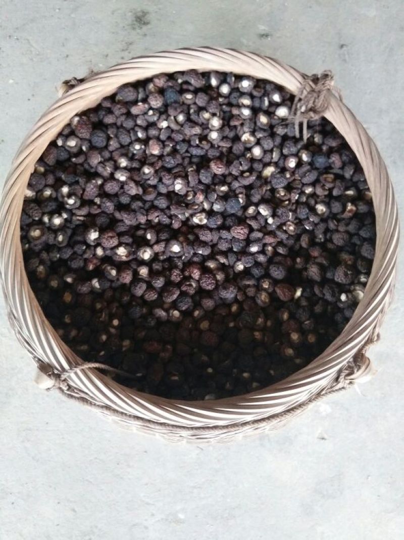 干香菇