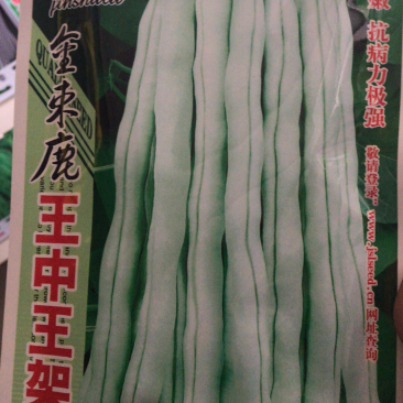 万斤大白条架芸豆种子菜豆种子四季豆棍豆