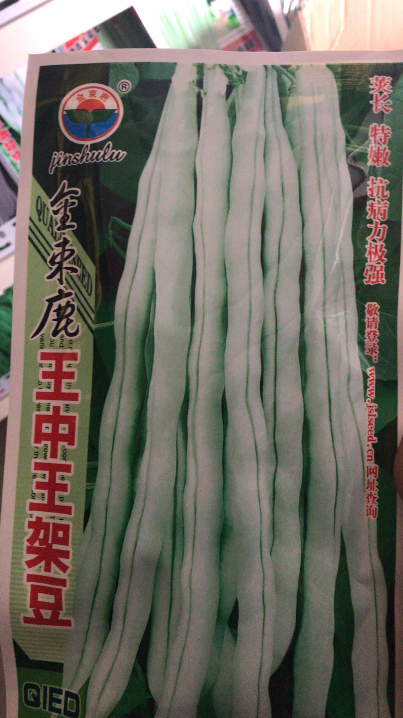 万斤大白条架芸豆种子菜豆种子四季豆棍豆