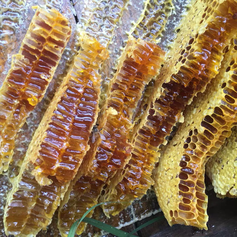 秦岭野生土蜂蜜纯正天然农家自产留坝结晶百花蜜老巢蜜糖50
