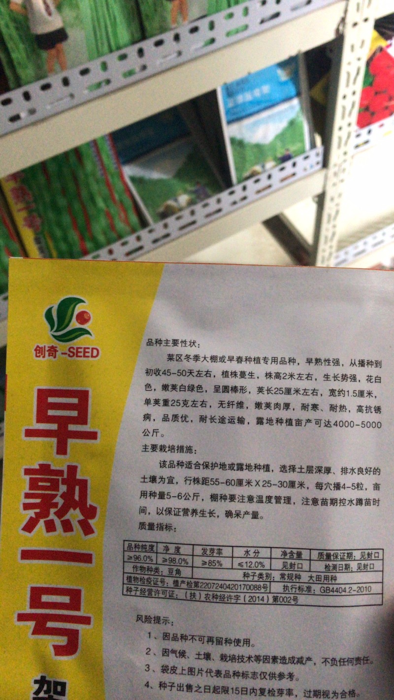 高产早熟一号四季豆种子芸豆角种子