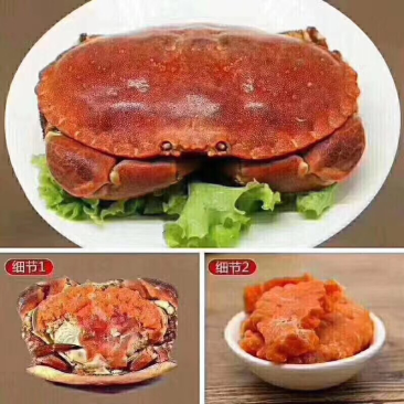 面包蟹熟冻面包蟹