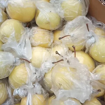 密梨