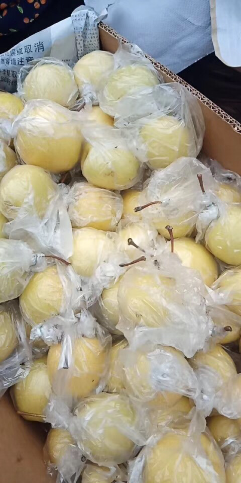 密梨