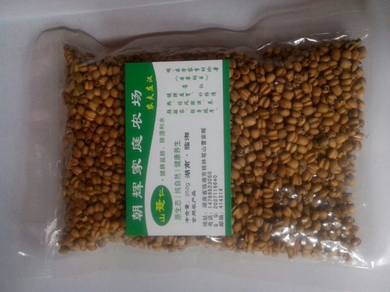 薏米