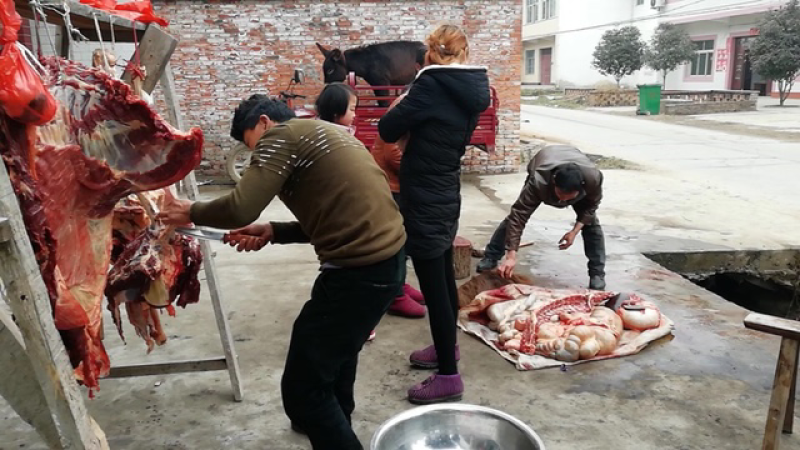 驴肉