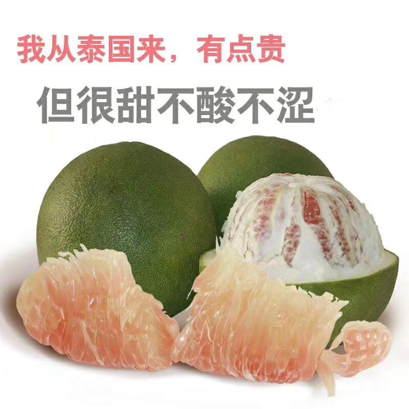 柚子苗有15Cm一30cm